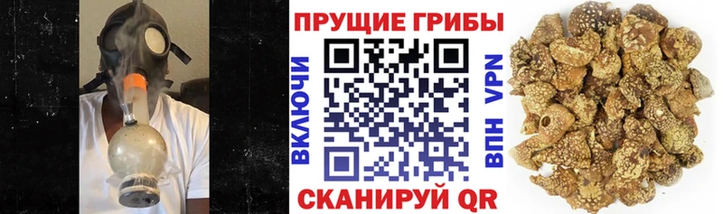 сайты даркнета телеграм  Геленджик  Галлюциногенные грибы ЛСД 
